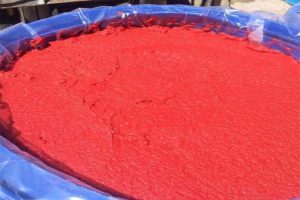 Iran Tomato Paste Export: Bulk & Aseptic Guide