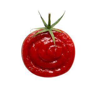 Tomato Paste Export from Iran