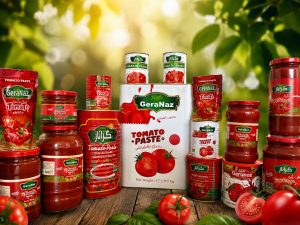 Tomato Paste Export from Iran | Complete Export Guide