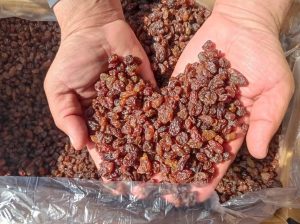 Iranian Raisins